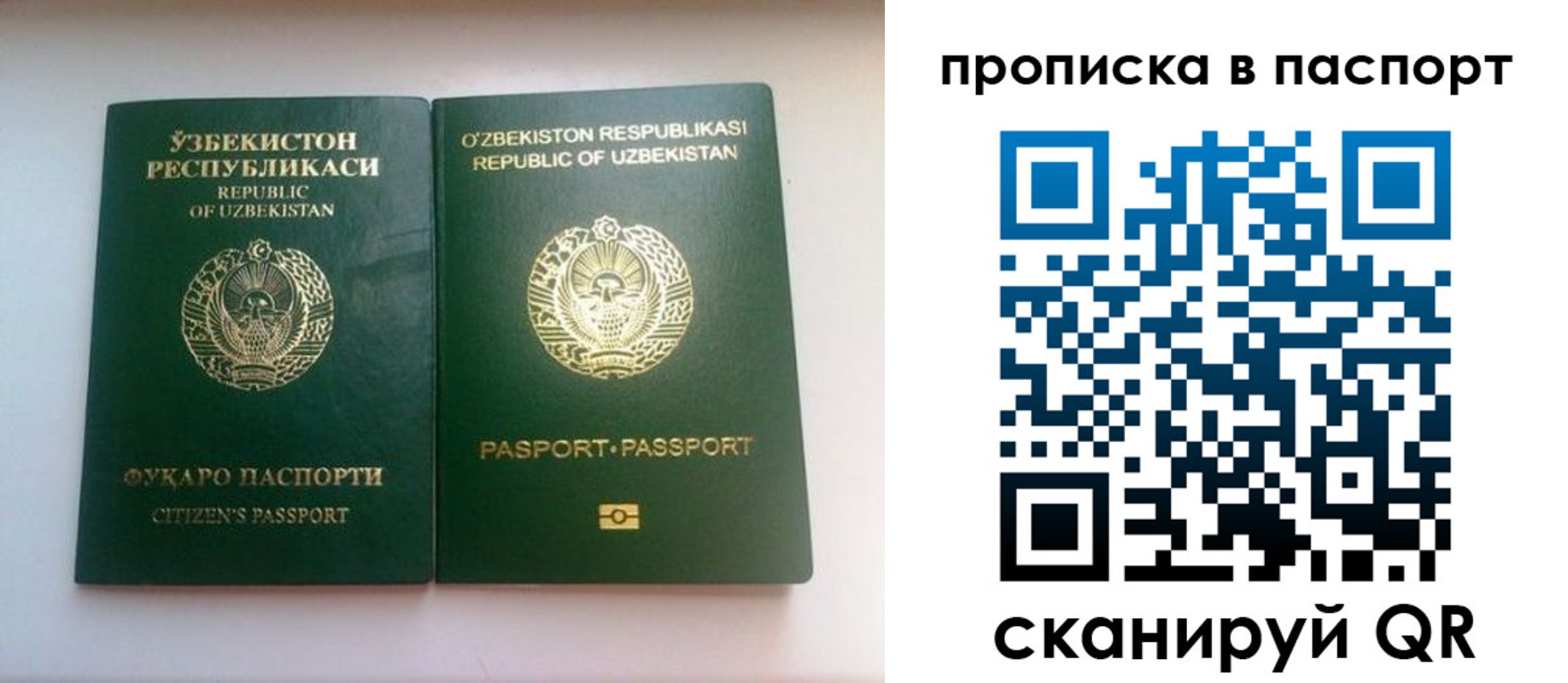 прописка для школы в Ростове-на-Дону